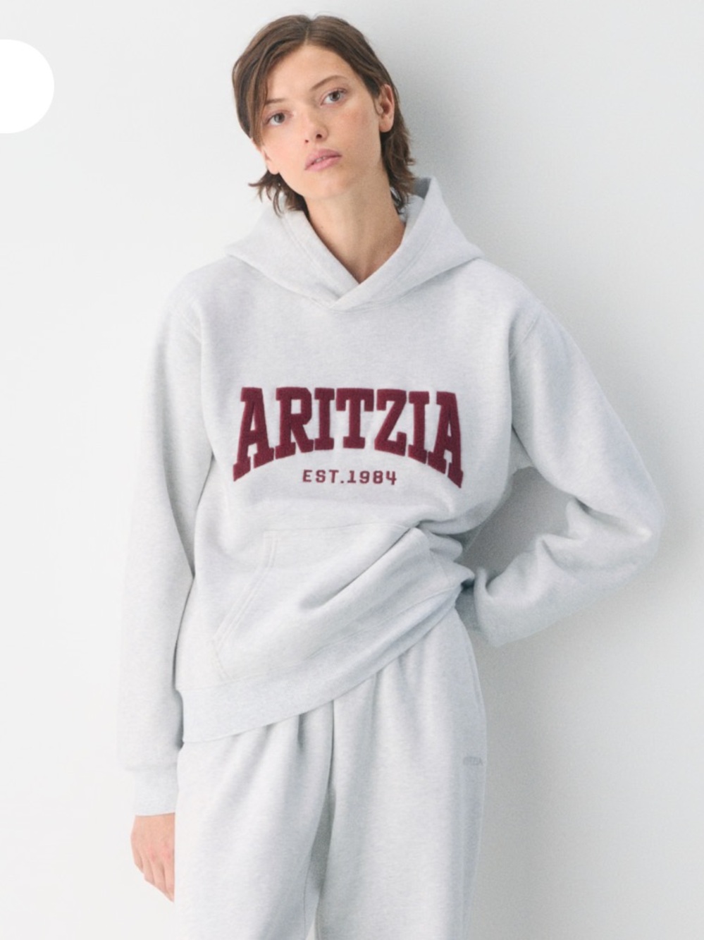 Aritzia Cozy Sweatfleece Perfect Hoodie - Picture 2 of 6